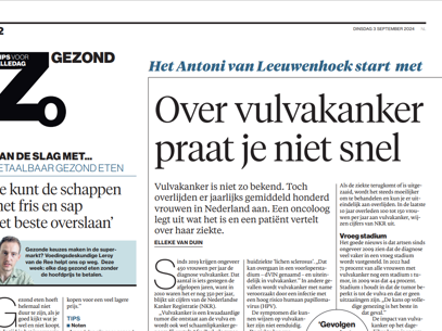 Screenshot AD Artikel Vulvakanker